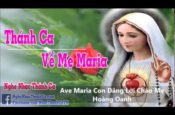 Ave Maria Con Dâng Lời Chào Mẹ