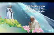 Chuỗi Mân Côi dâng Mẹ (Slideshow)