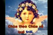 Con bởi Chúa