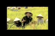 Con dâng Chúa – Lễ dâng (MP4)