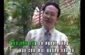 Hoa Huệ ngoài đồng (Karaoke)