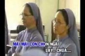 Mãi mãi con chọn Ngài