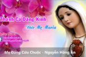 Mẹ đấng cứu chuộc