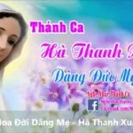 Hoa đời dâng Mẹ