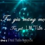 Tre già măng mọc