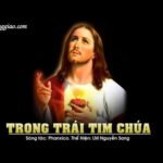 Trong trái tim Chúa - Lm. Nguyễn Sang