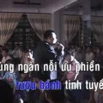 Một niềm phó thác (karaoke)